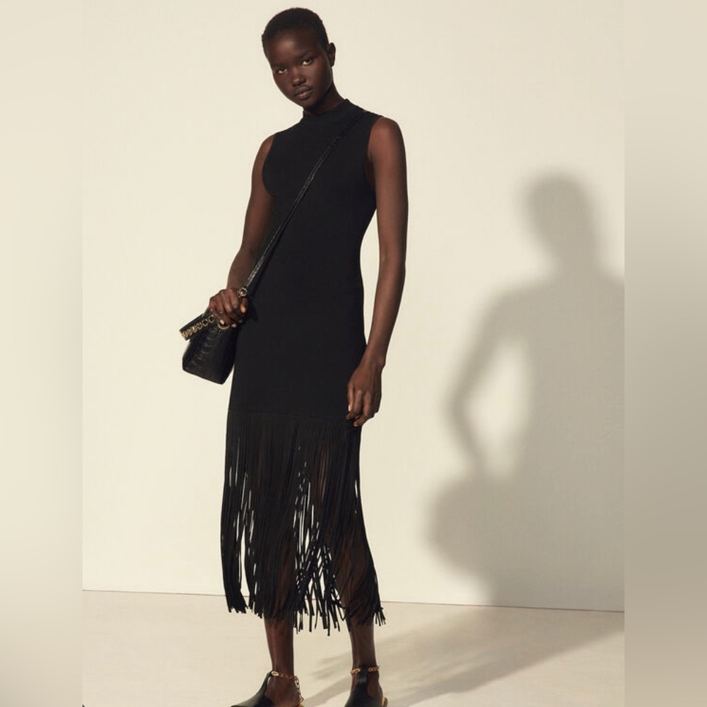 Sandro Paris fringe knit dress